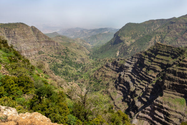 Tales of the Djibouti By Camille Massida